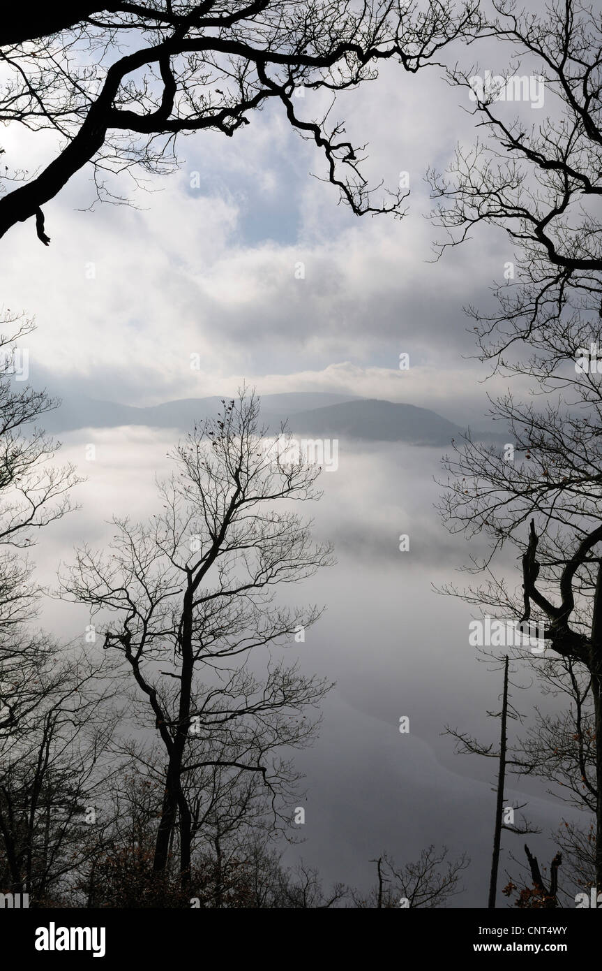 Morgen-Stimmung an einem nebeligen Wintertag am See Edersee, Naturschutzgebiet Kahle Haardt, Deutschland, Hessen Stockfoto