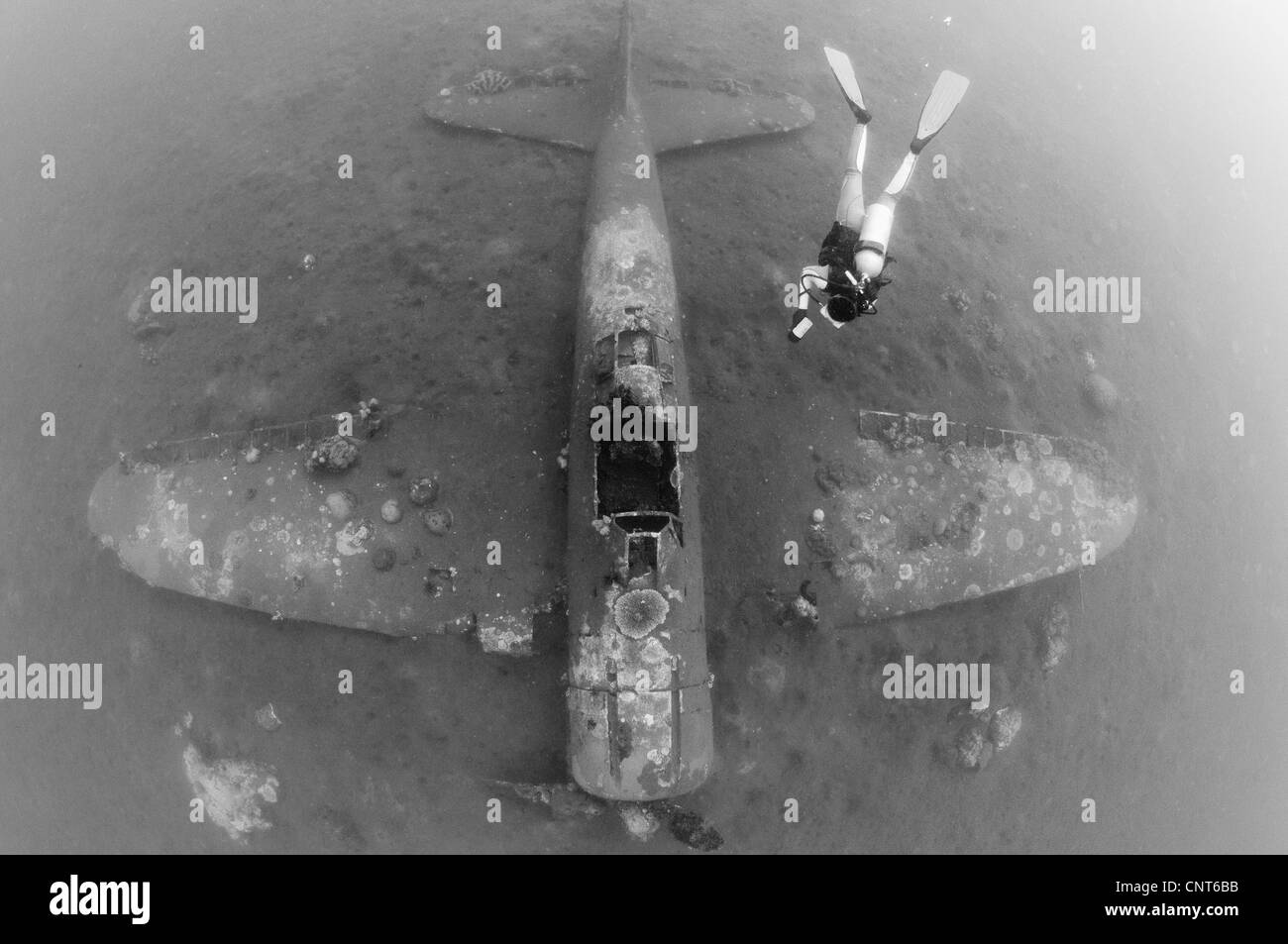 Taucher untersucht das Wrack eines Mitsubishi Zero Kampfflugzeugs Kimbe Bay, Papua Neu-Guinea. Stockfoto