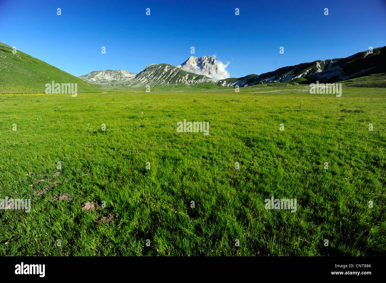 weites Tal voller Wiesen vor hohen Gebirge, Italien, Abruzzen Stockfoto