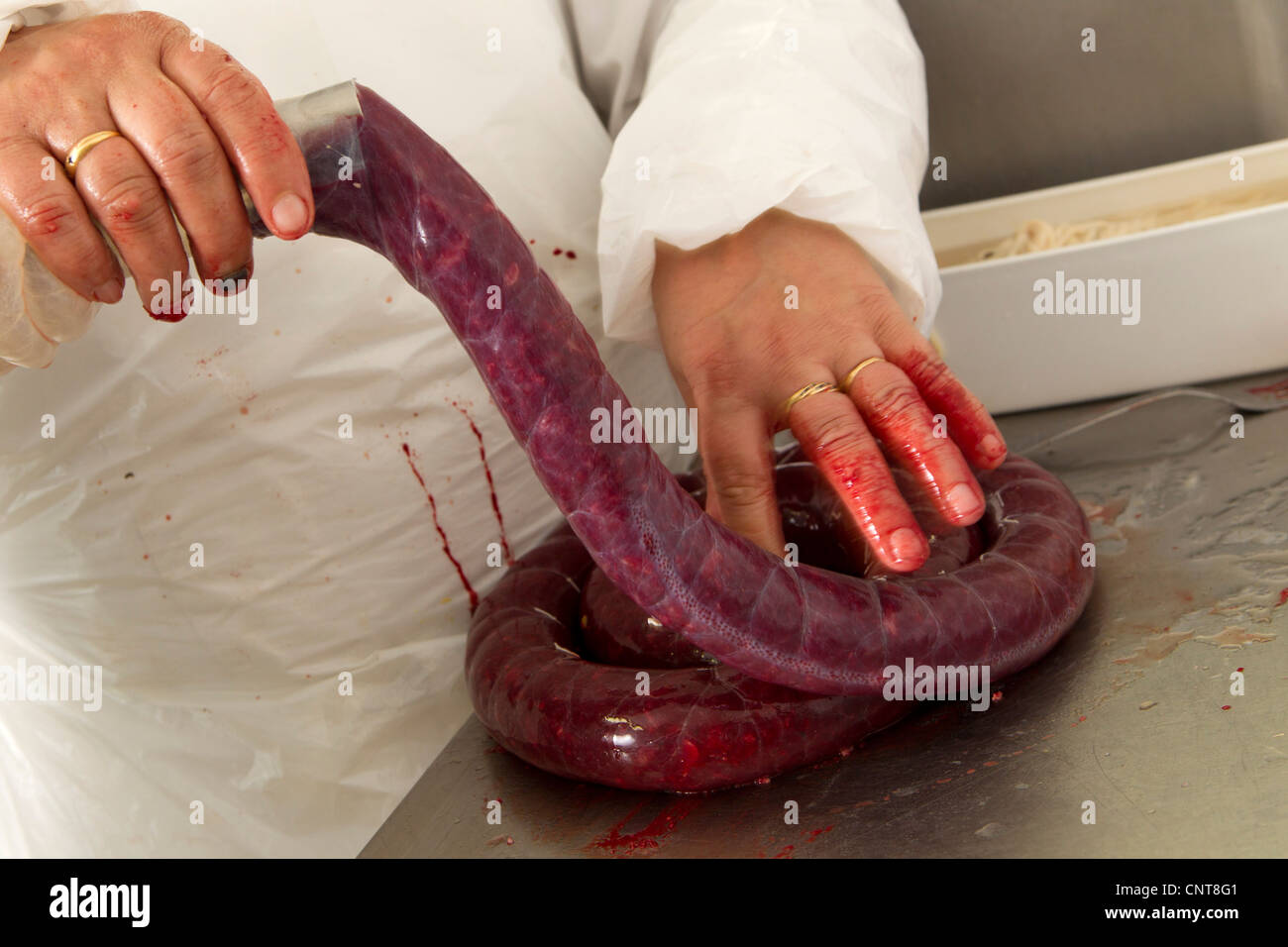 Mann, Blutwurst, beschnitten Stockfotografie - Alamy