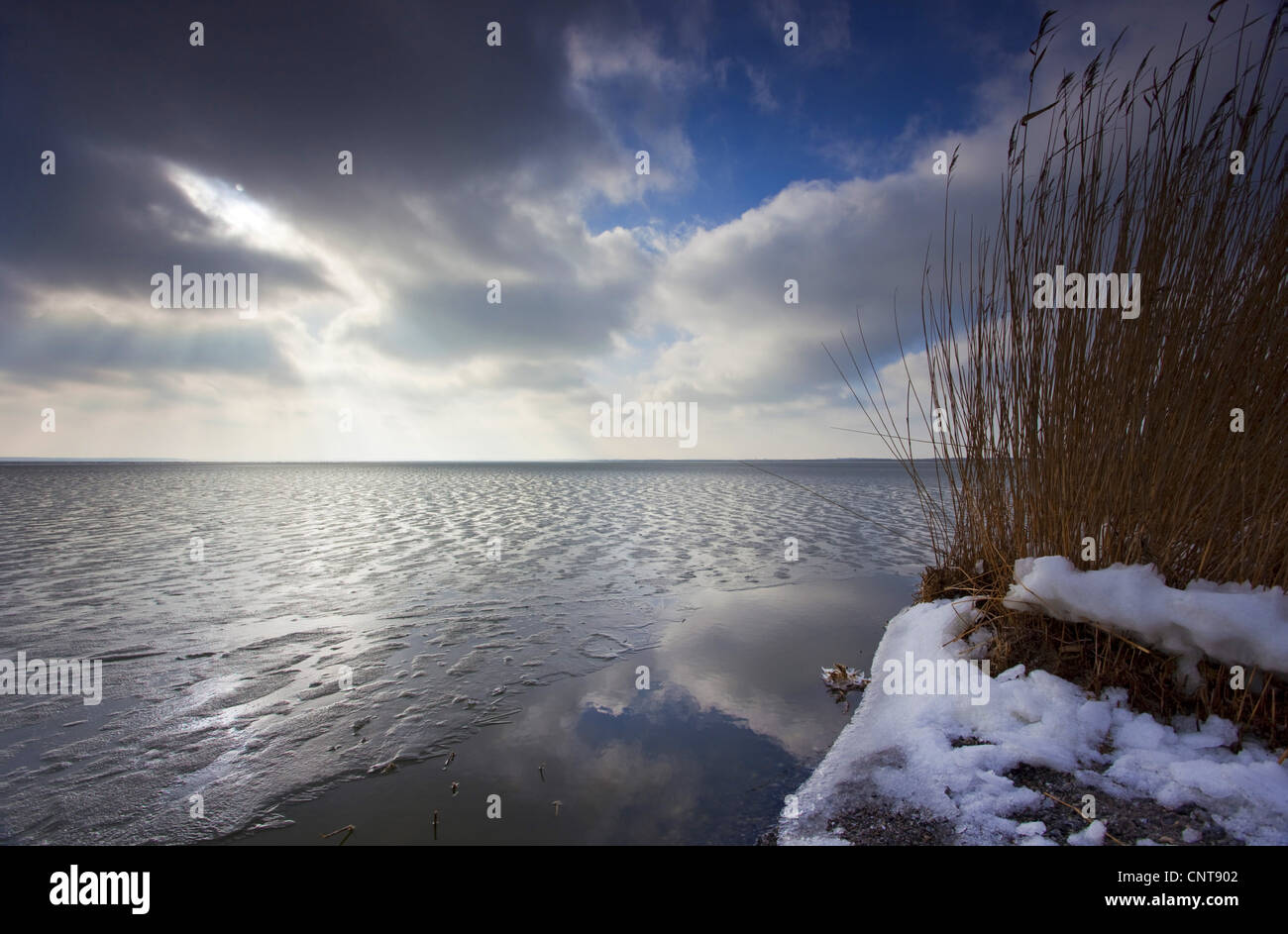 Platzen der Sonne am Meer im Winter, Deutschland, Mecklenburg-Vorpommern, bin Wustrow Bodden Stockfoto