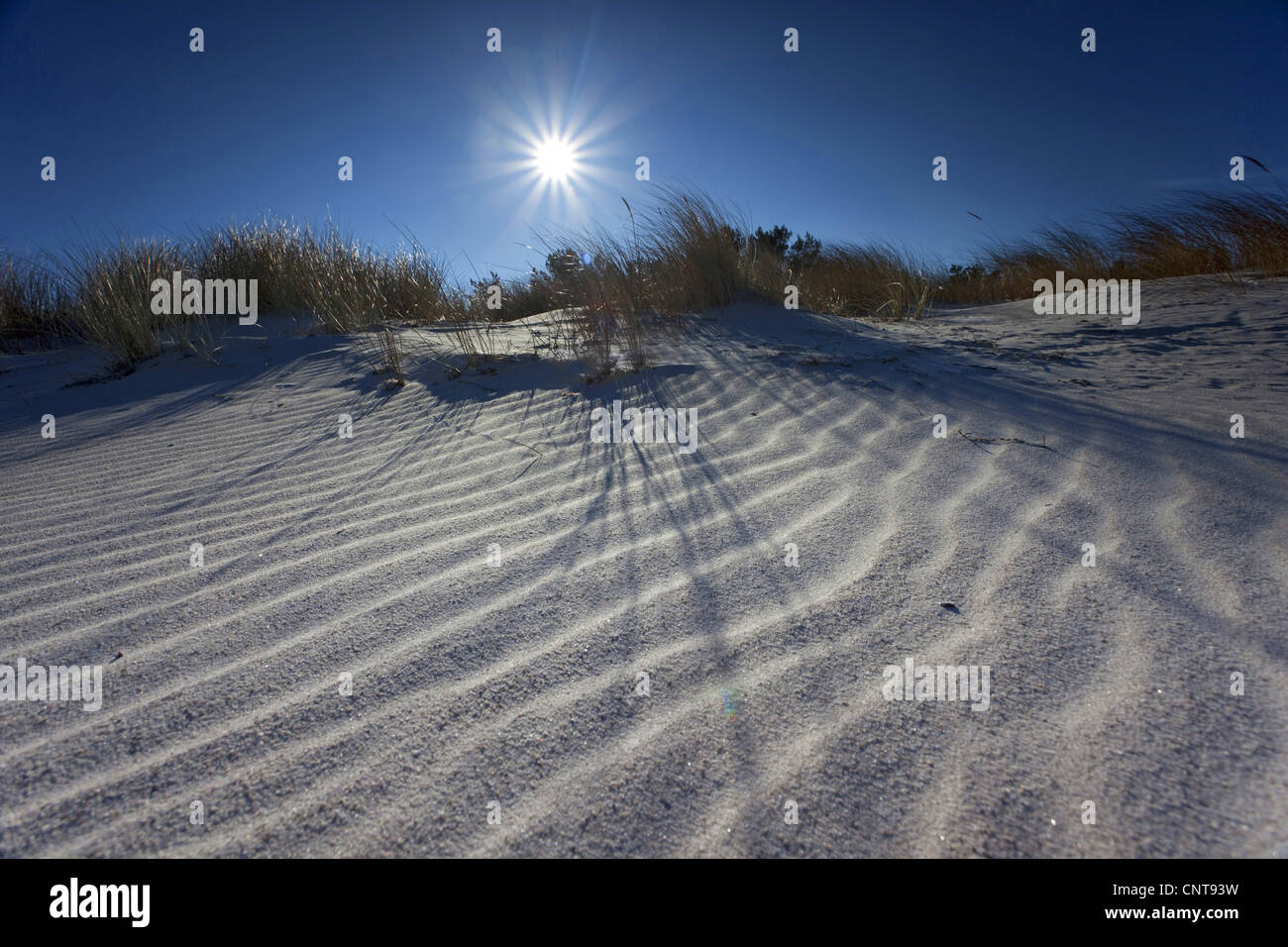 Sand Wellen am Strand in der frühen Sonne, Deutschland, Mecklenburg-Vorpommern, Ostsee Stockfoto