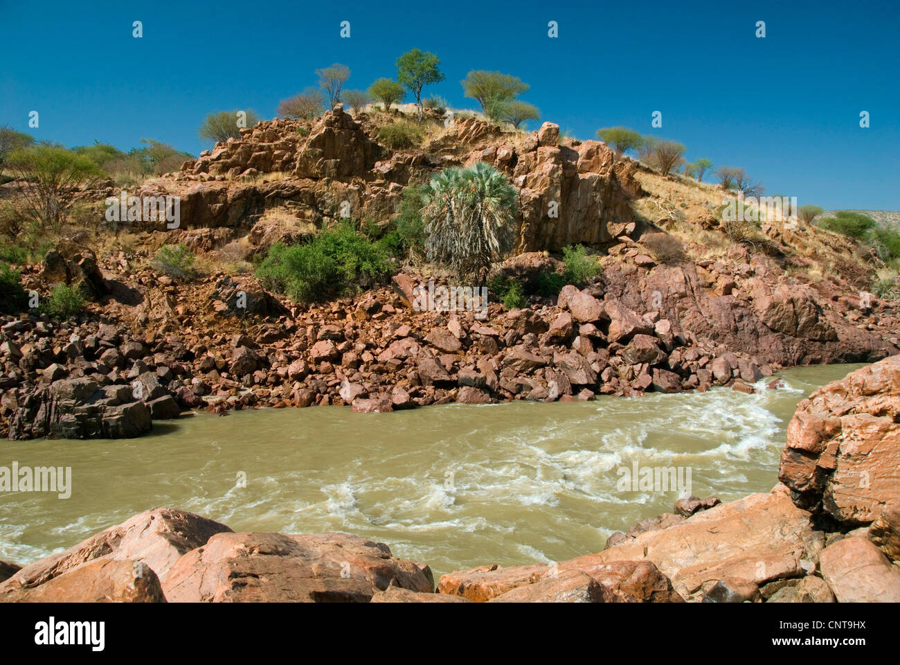 Fluss Kunene, der Grenze zu Angola, Namibia Stockfoto