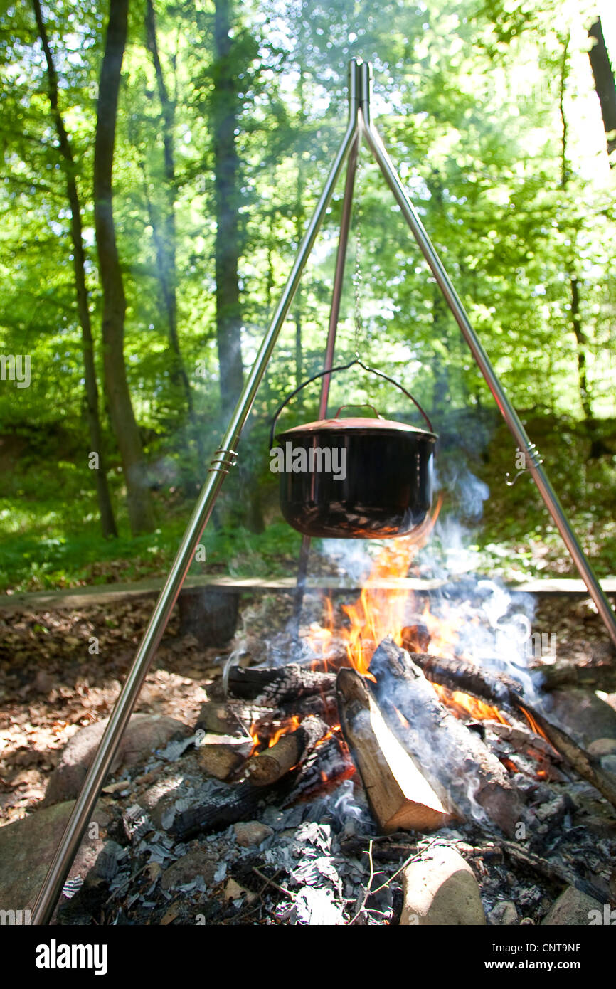 Suppe aus Wildgemüse und Kräuter über dem Lagerfeuer an einer Lichtung, Deutschland Stockfoto