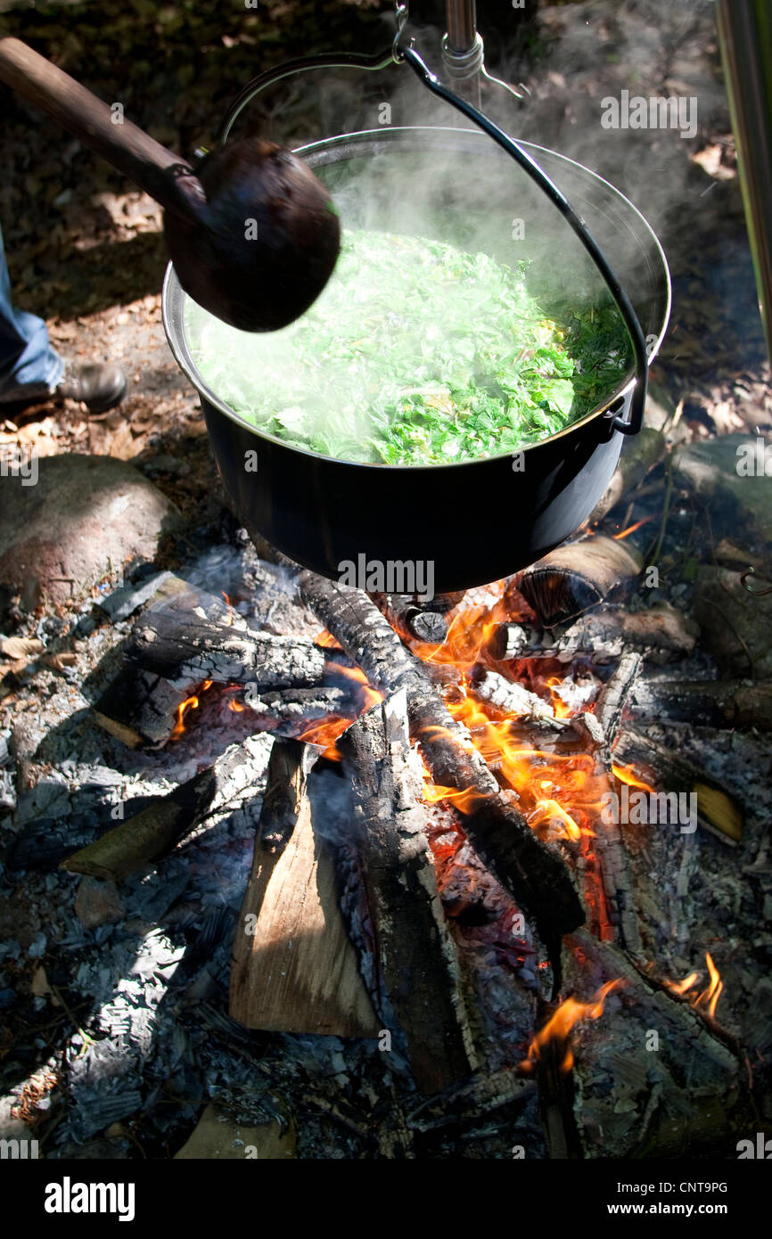 Blick in einen Topf mit Suppe von Wildgemüse und Kräuter über dem Lagerfeuer, Deutschland Stockfoto