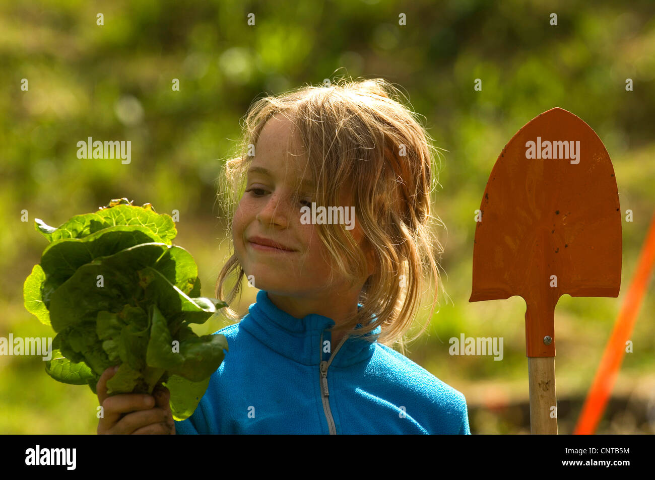 8 Jahre altes Mädchen im Garten mit Eimer und Salat in ihren Händen, Frankreich Stockfoto