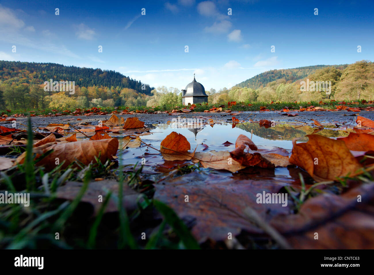 Herbstlaub in eine Pfütze im Schlosspark Greiz mit einer gewölbten Struktur im Hintergrund, Deutschland Stockfoto
