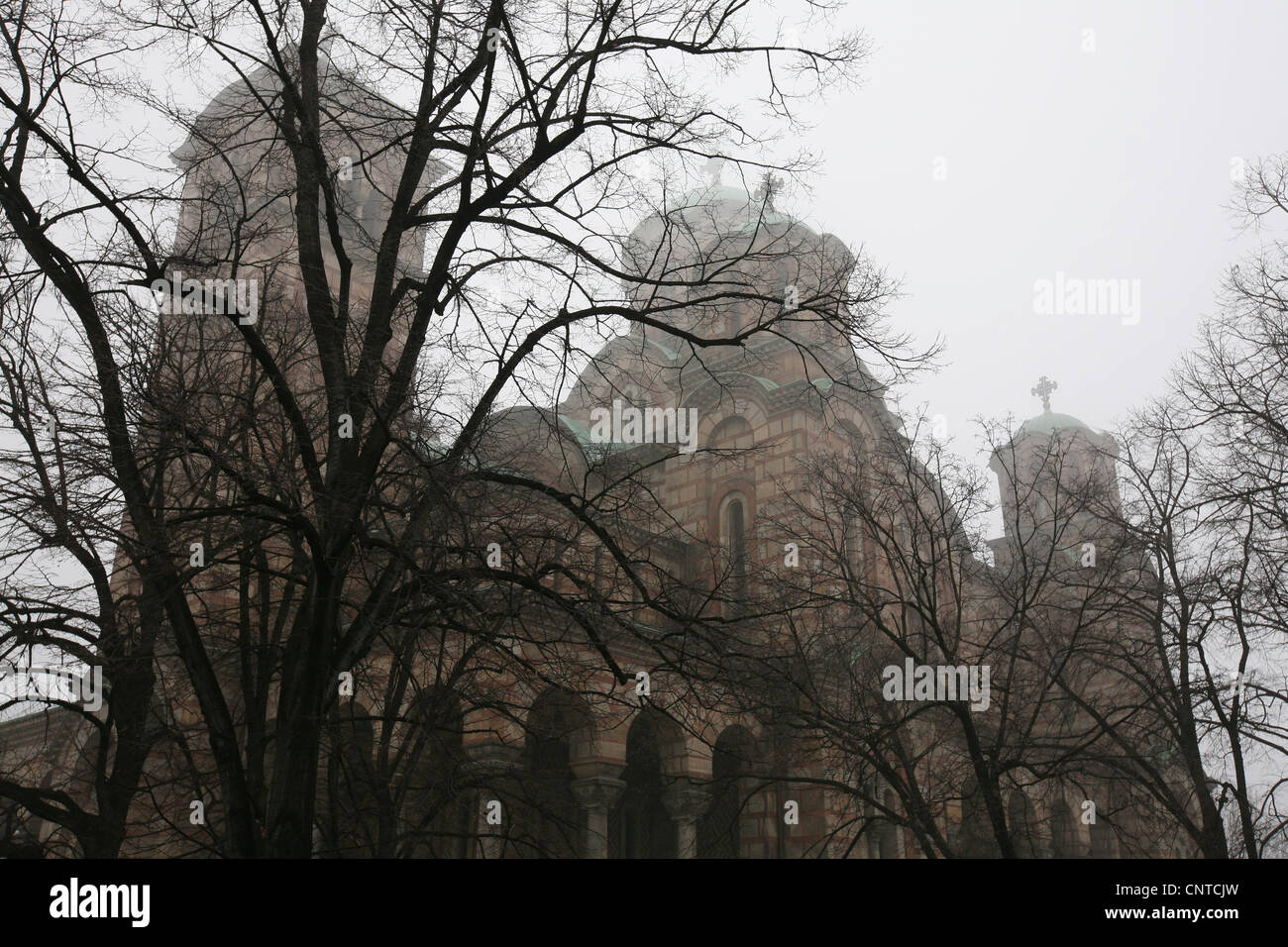 Markuskirche in Tasmajdan Park in Belgrad, Serbien. Stockfoto