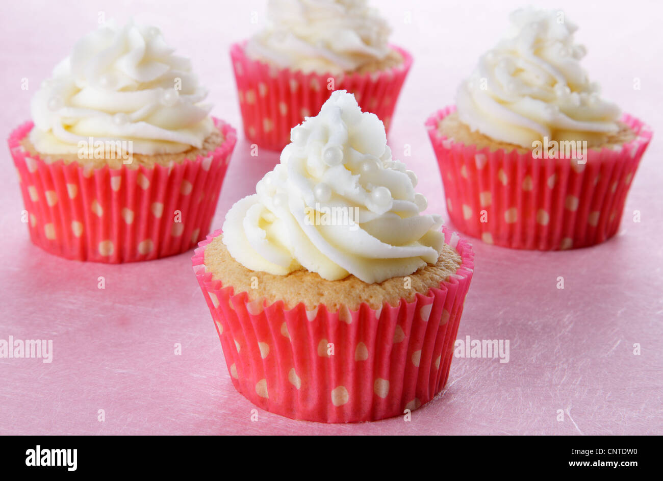 ROSA UND WEIßE PERLE CUPCAKES Stockfoto