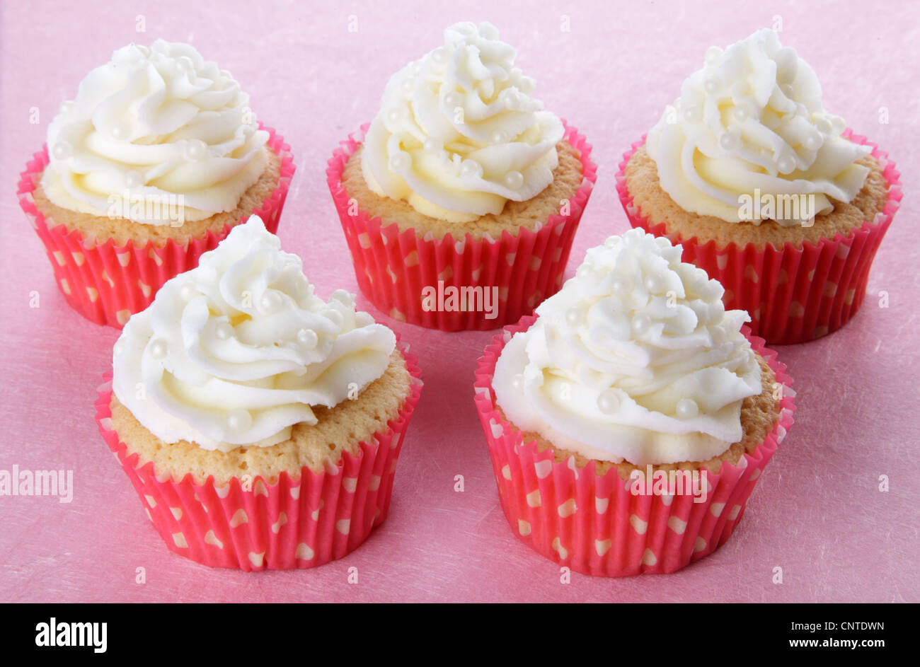 ROSA UND WEIßE PERLE CUPCAKES Stockfoto