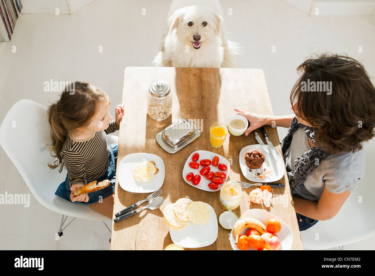 Mutter und Tochter am Tisch mit Hund Stockfoto