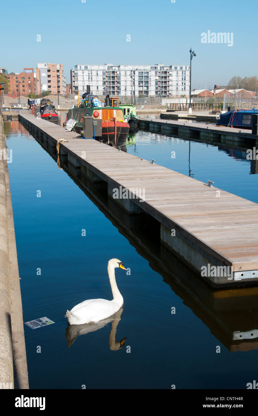 Bootsliegeplätze in Cotton Field Park Marina, New Islington, Ancoats, Manchester, England, Großbritannien Stockfoto