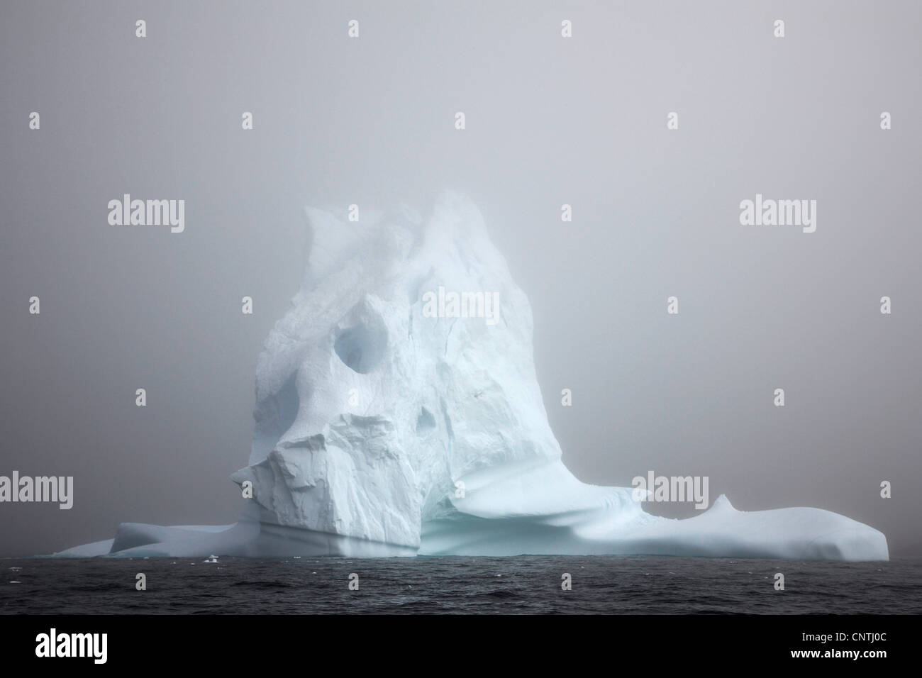 Eisberg im Nebel, Ammassalik, Ostgrönland, Tasiilaq, Grönland Stockfoto