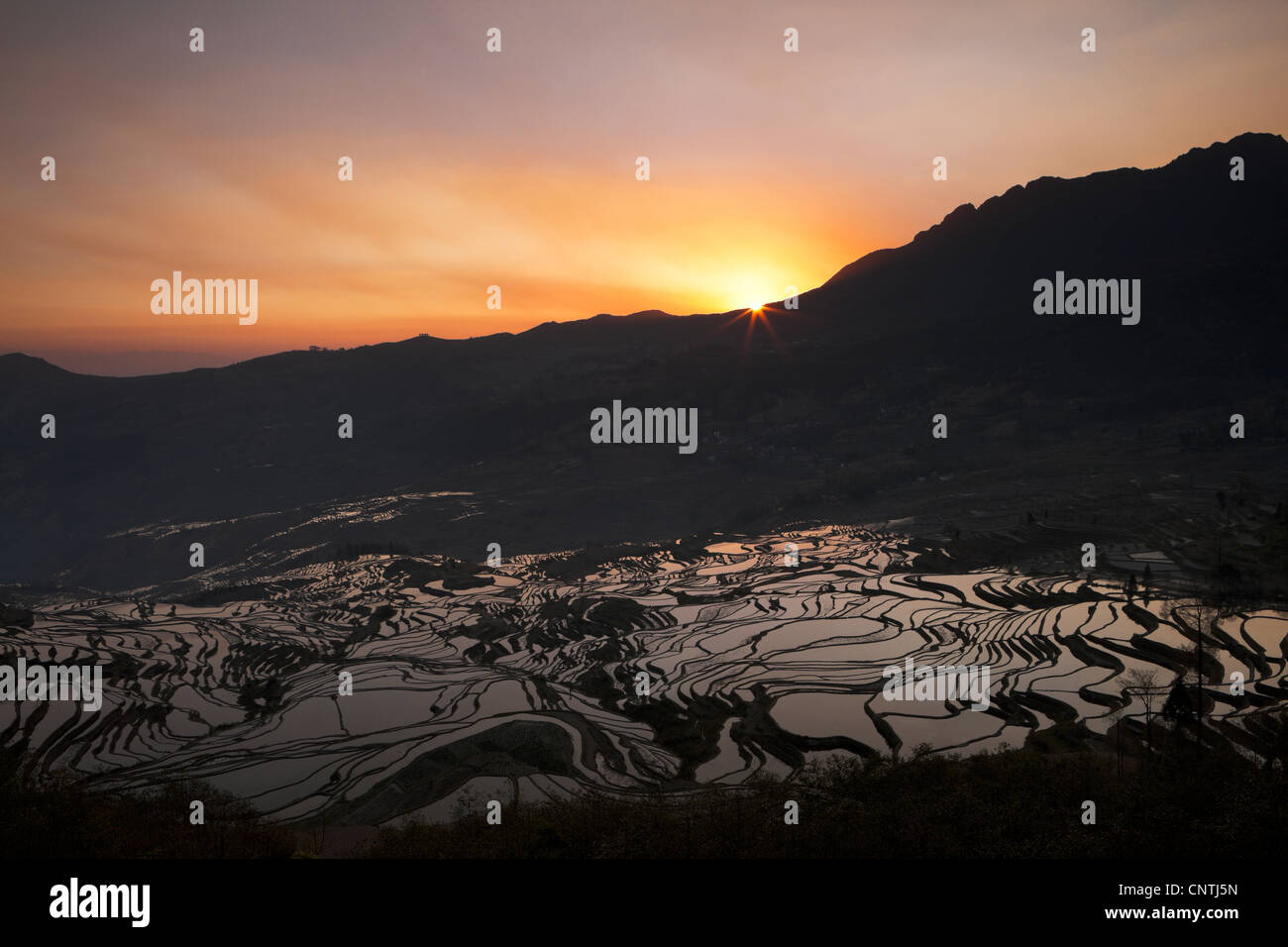 China, Pflanzung, Reihenhaus Feld, Natur, Landwirtschaft, Tag, niemand, Baum, Pflanze, Wasser, Winkel, Landschaften, Farbbild, Aussichtspunkt, Natur, Feld Stockfoto