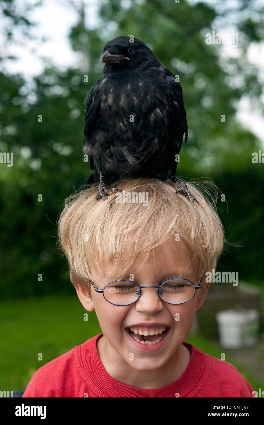 AAS-Krähe (Corvus Corone), kleines Mädchen mit einem zahmen jungen Vogel sitzt auf dem Kopf Stockfoto