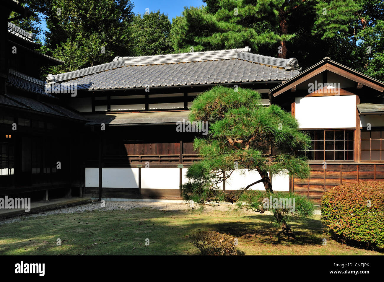 inzwischen fühlt sich japan wie ein zweites zuhause an