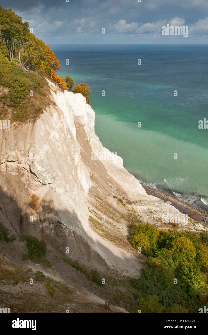 Kreidefelsen Sie mit grünen Meer auf Moen, Dänemark, Moen Stockfoto