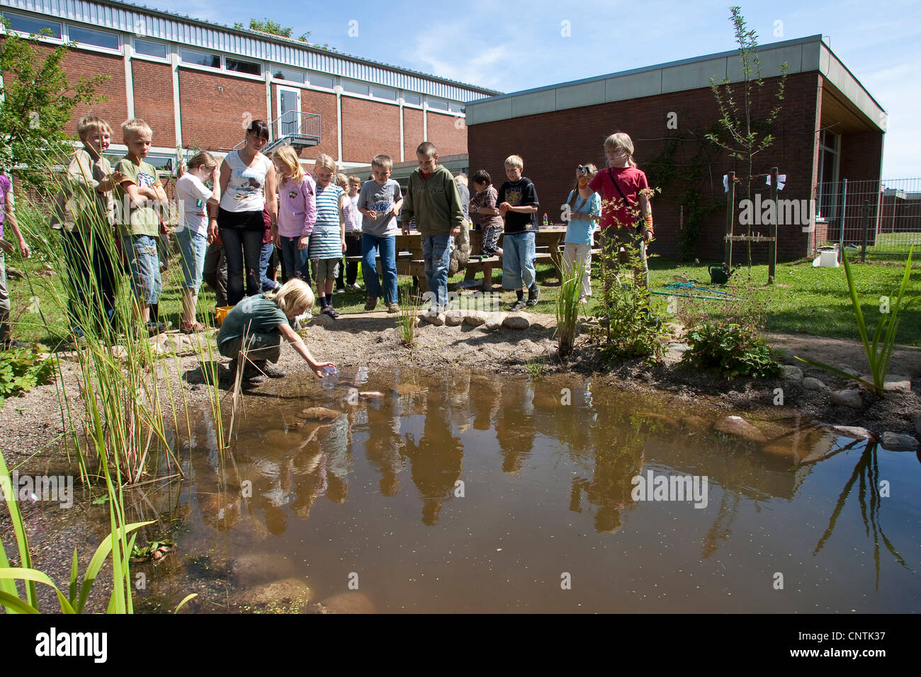 Grundschüler Fang von Tieren im selbstgebauten Teich im Garten Schule Stockfoto