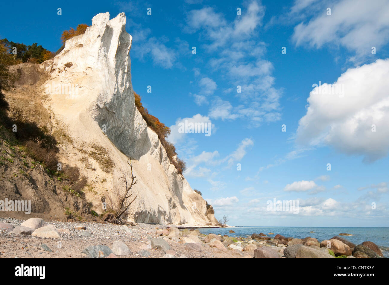 Kreidefelsen Sie auf der Insel Moen, Dänemark, Moen Stockfoto