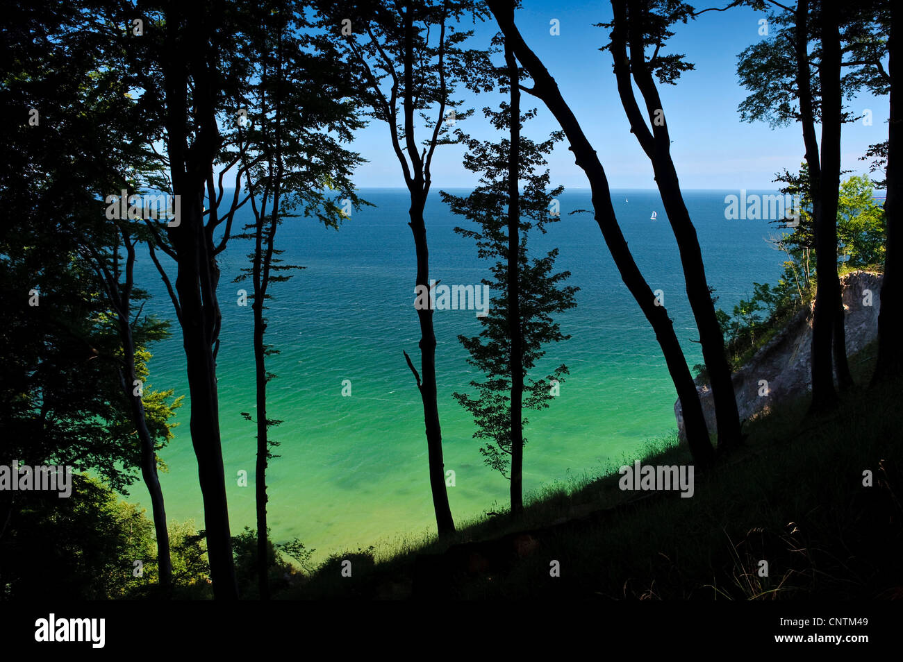 Blick von den Kreidefelsen am Meer, Nationalpark Jasmund, Rügen, Mecklenburg-Vorpommern, Deutschland Stockfoto