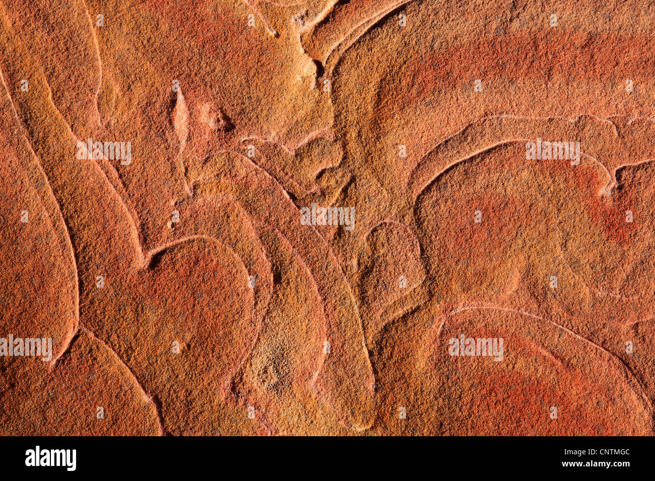 Sandstein, detail, USA, Arizona, Coyote Buttes North Stockfoto