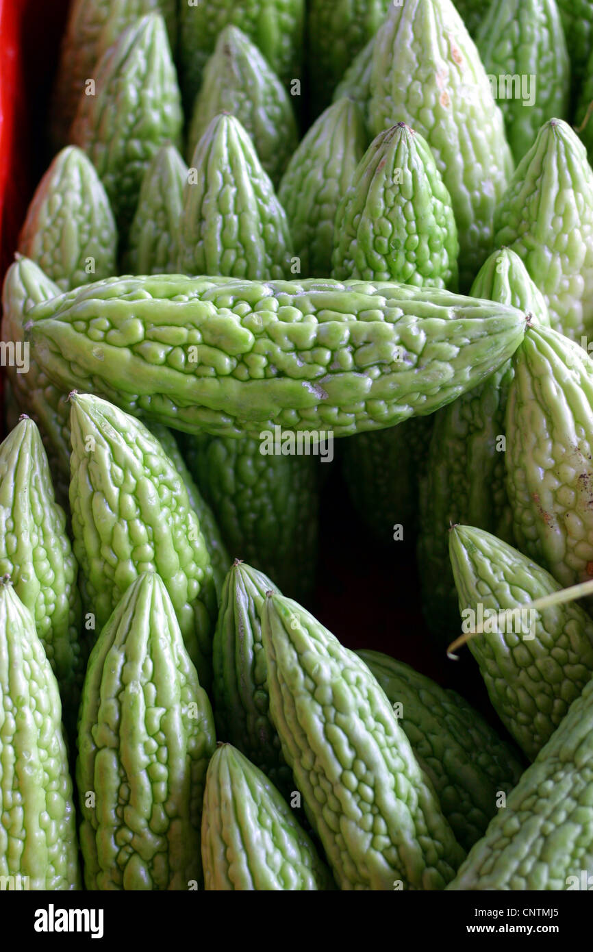 Balsambirne (Momordica Charantia), Vegeatble auf dem schwimmenden Markt, Curacao, Niederländische Antillen, Willemstad Stockfoto