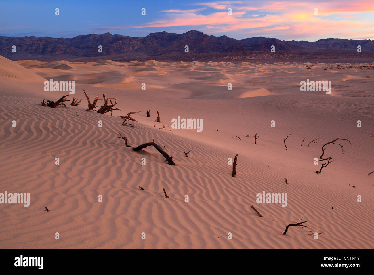 Mesquite Flats, Sanddünen, USA, Kalifornien, Death Valley Nationalpark Stockfoto