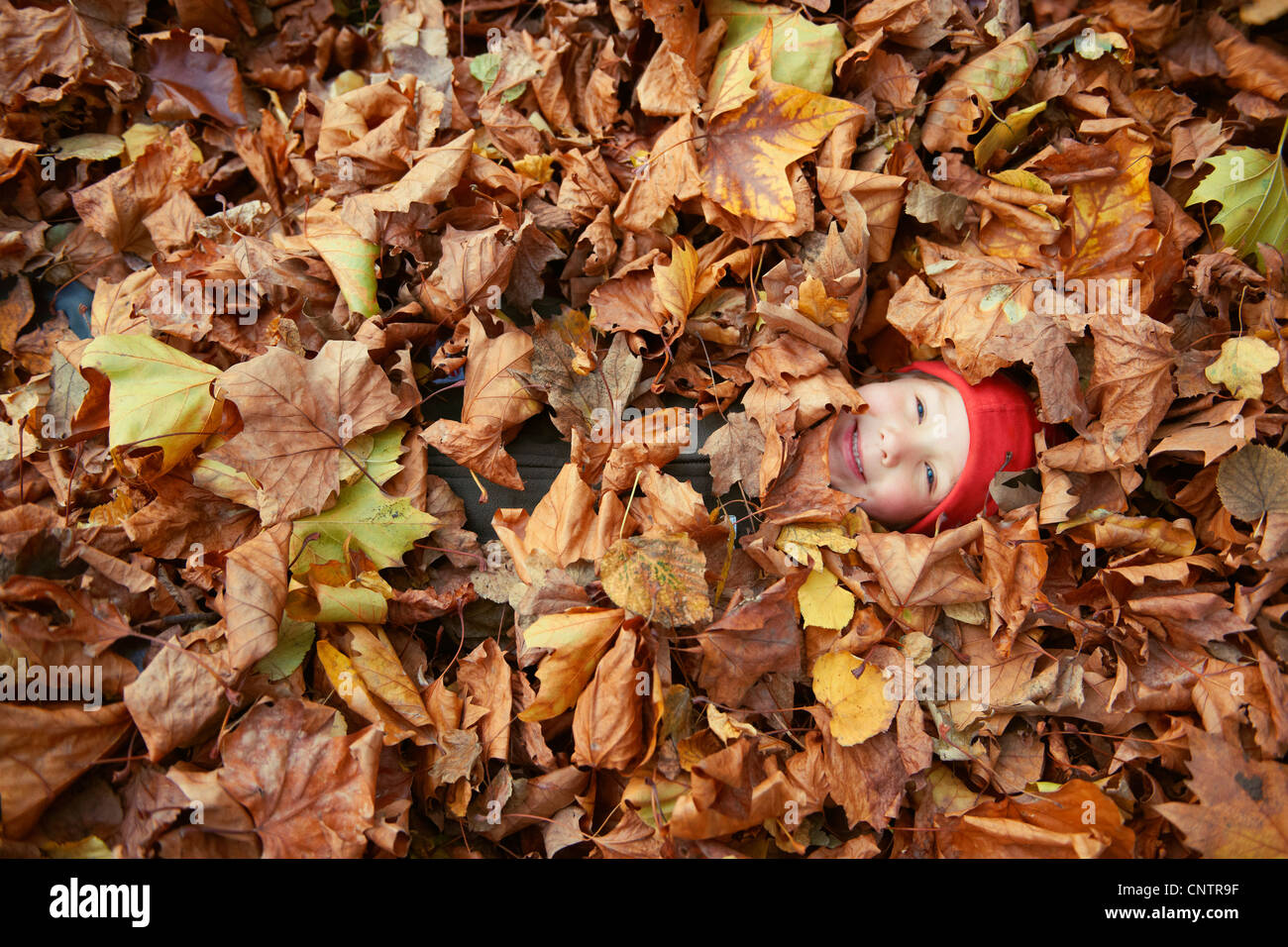 Junge spielt im Herbstlaub Stockfoto