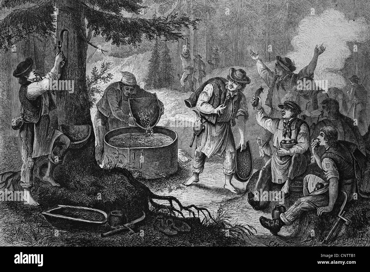 Kannen kochendem Pech aus Baumharz im Vogtland, historische Gravuren, um 1870 Stockfoto