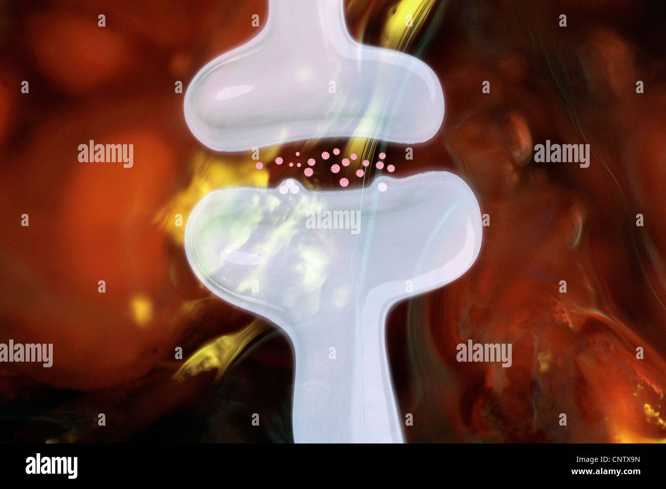 Nahaufnahme von Neuronen und synaptischen Spalt Stockfoto