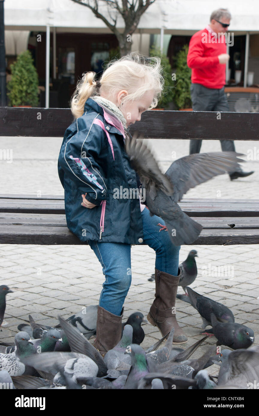 Kleines Mädchen füttern viele Tauben am Hauptplatz Stockfoto