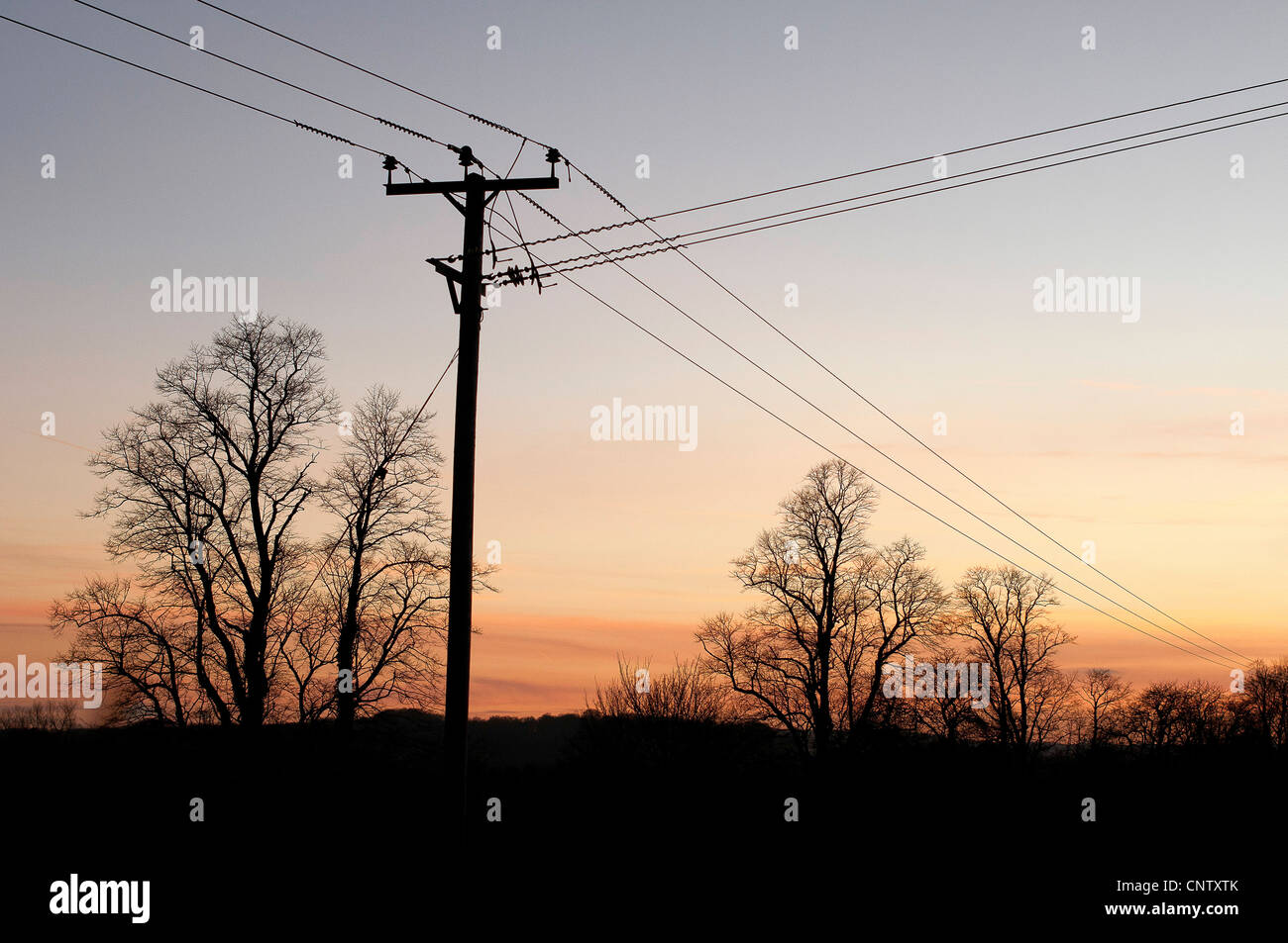 Winter-Twilight und Telegrafenmasten Stockfoto