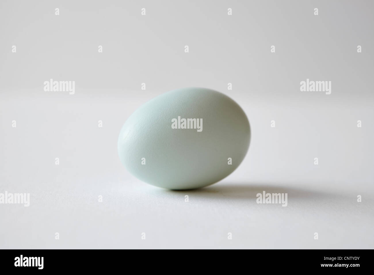 Nahaufnahme von Ei auf Arbeitsplatte Stockfoto