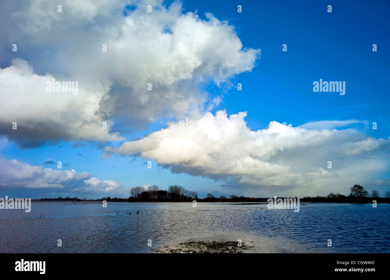 überschwemmte Wiesen am Fluss Hamme in der Nähe von Osterholz-Scharmbeck, Deutschland, Niedersachsen, Landkreis Osterholz Stockfoto