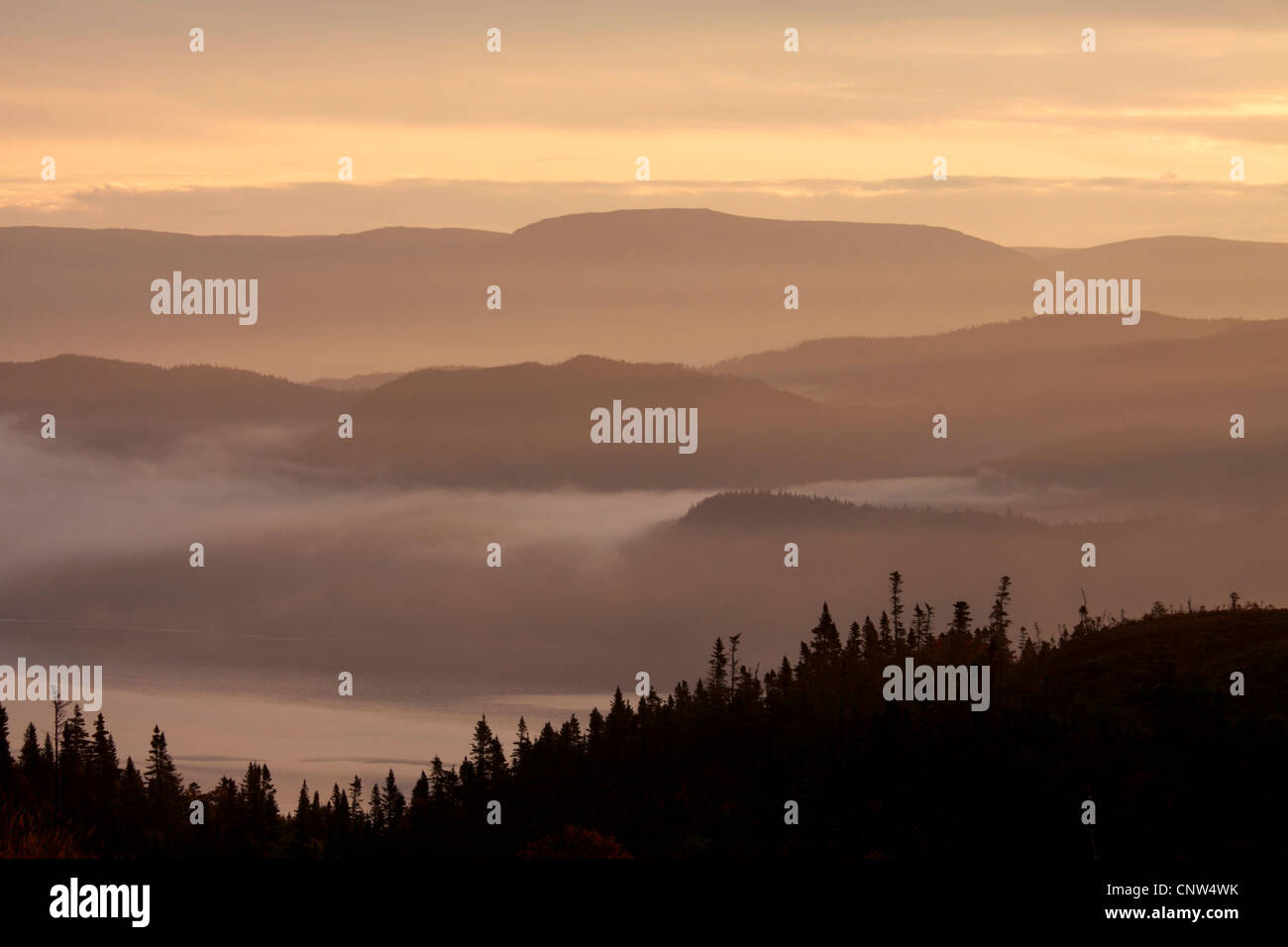 Blick auf Gros Morne Nationalpark, Gros Morne National Park, Neufundland, Kanada Stockfoto