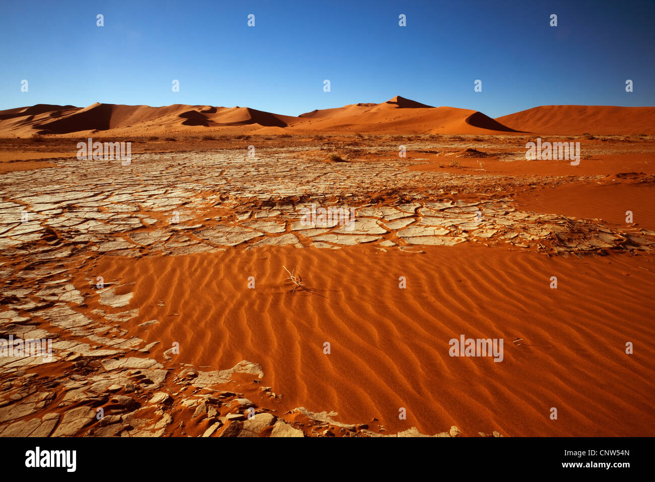 Sanddüne und Strukturen im Sand, Namibia, Sossusvlei, Namib Naukluft Nationalpark Stockfoto
