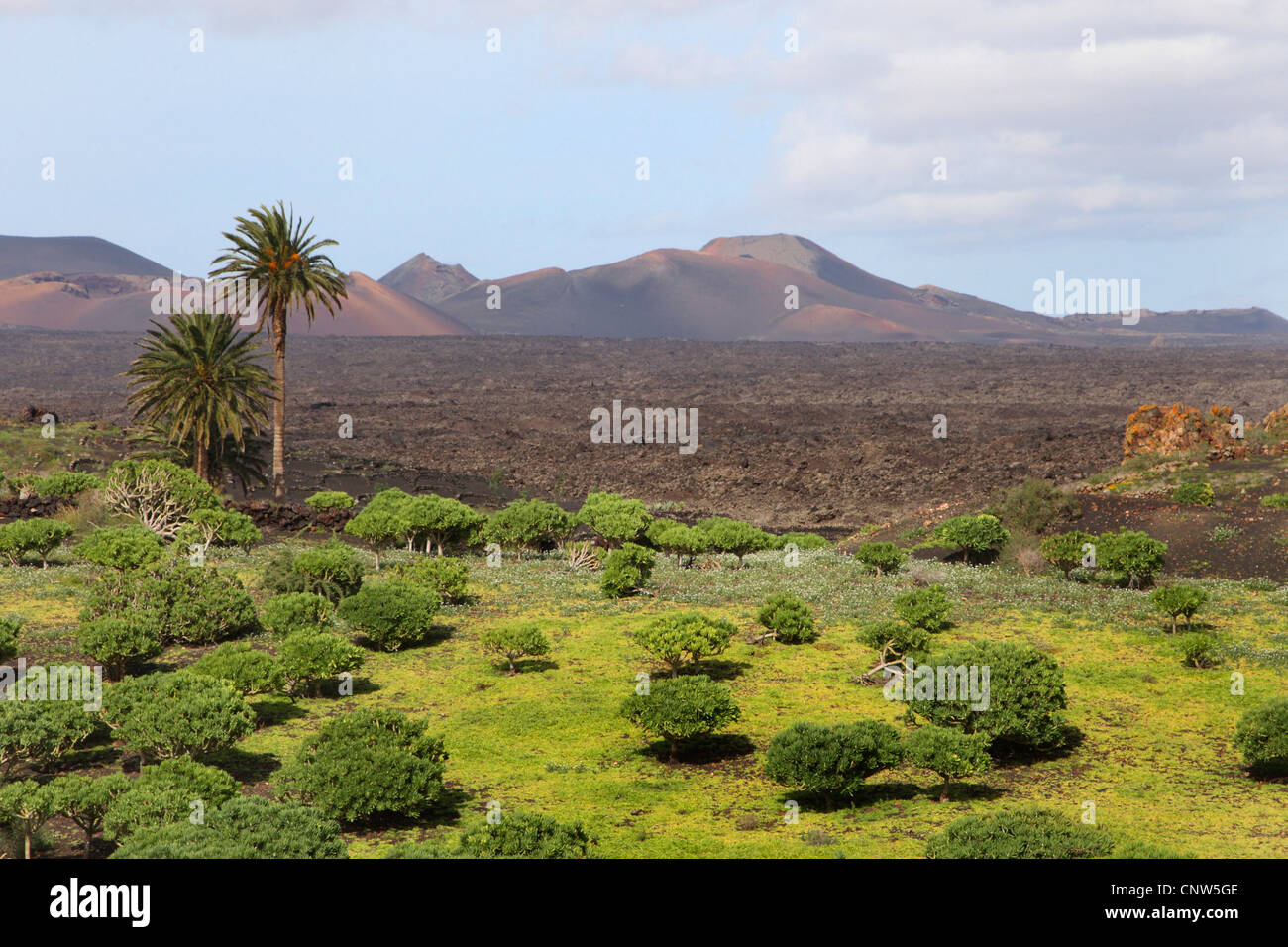 abwechslungsreiche vulkanische Berglandschaft, Kanarische Inseln, Lanzarote Stockfoto