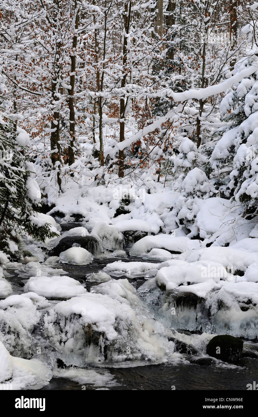 Bach im Schnee bedeckt Berg Wald, Deutschland, Bayern, Nationalpark Bayerischer Wald Stockfoto