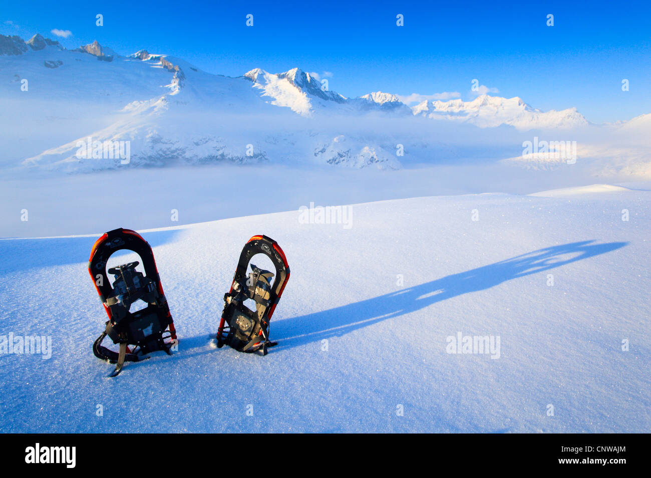 Paar Schneeschuhe stecken in einem unberührten Schneefeld in den Walliser Alpen vor winterlich verschneiten Wannenhorns und Aletschgletscher, Schweiz, Wallis Stockfoto