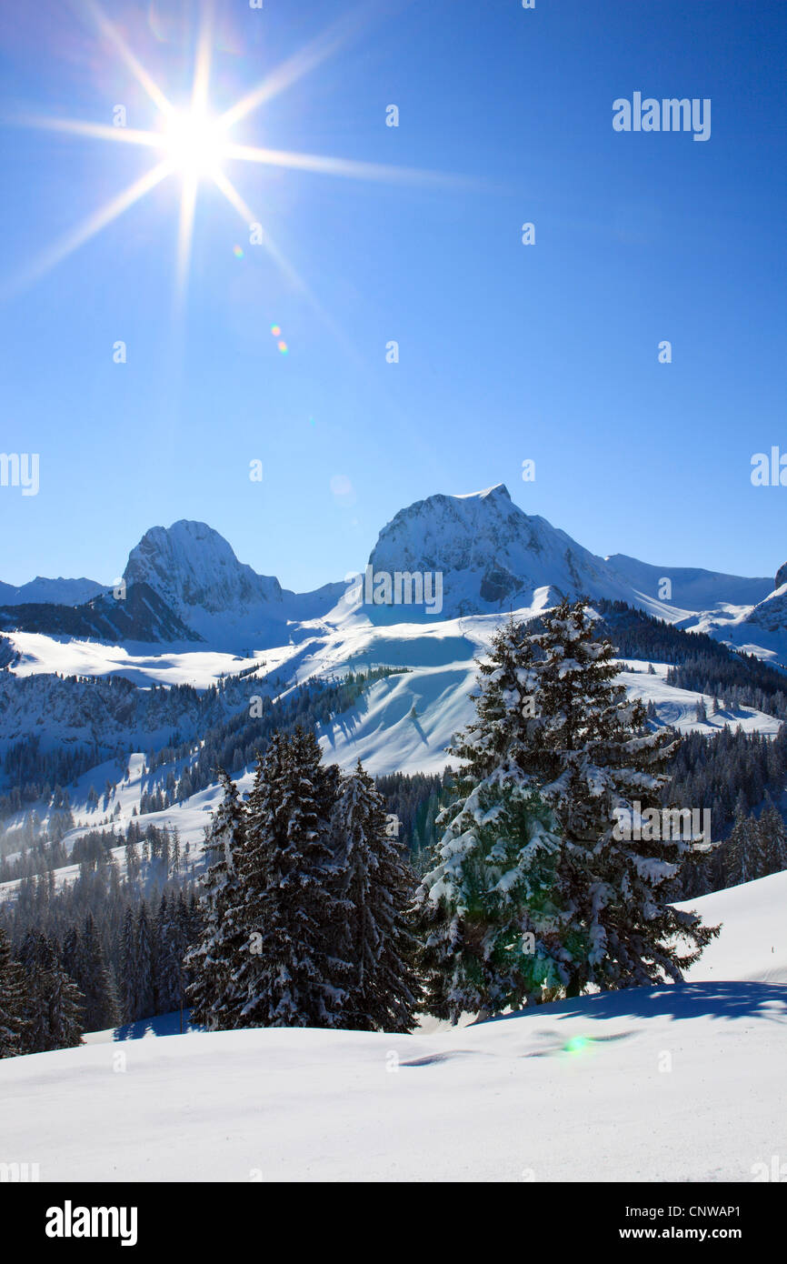 Blick vom Gurnigel in den Voralpen auf Nuenenen (2101 m) und Gantrisch (2175 m) in den Berner Alpen, Schweiz Stockfoto