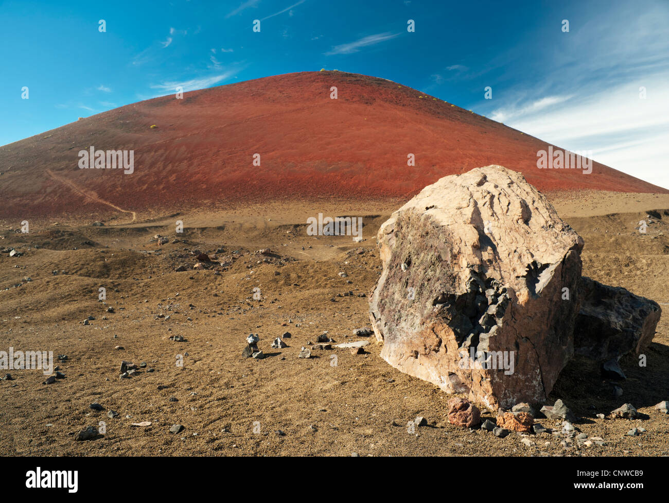 Große vesikuläre lavasaltische Vulkanbombe aus einem explosiven Ausbruch von Montaña Colorada, Lanzarote, Kanarischen Inseln, Spanien Stockfoto