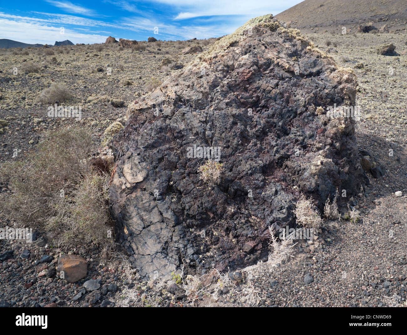 Große vesikuläre lavasaltische Vulkanbombe aus einem explosiven Ausbruch von Montaña Colorada, Lanzarote, Kanarischen Inseln, Spanien Stockfoto