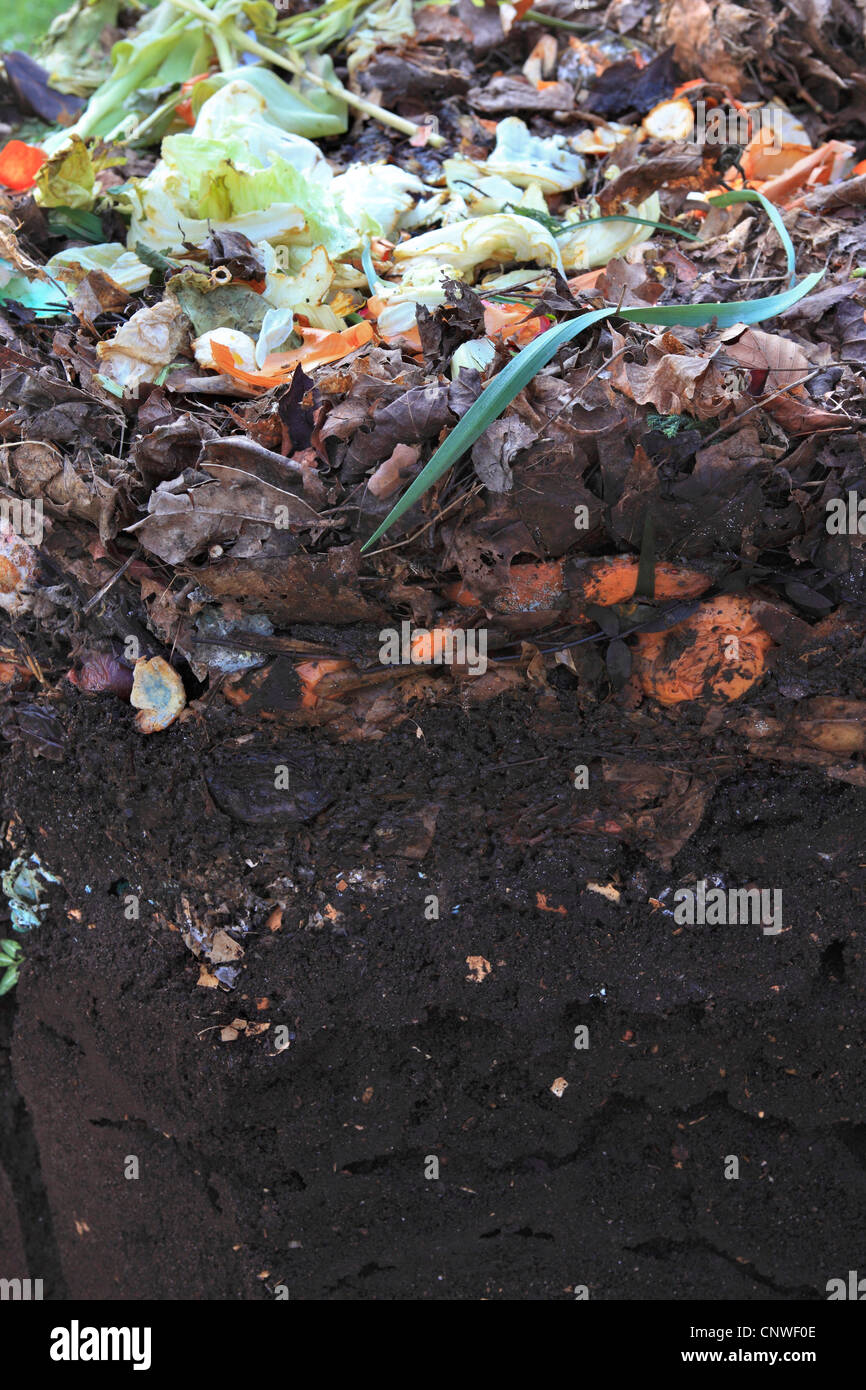 Komposthaufen im Garten Stockfoto