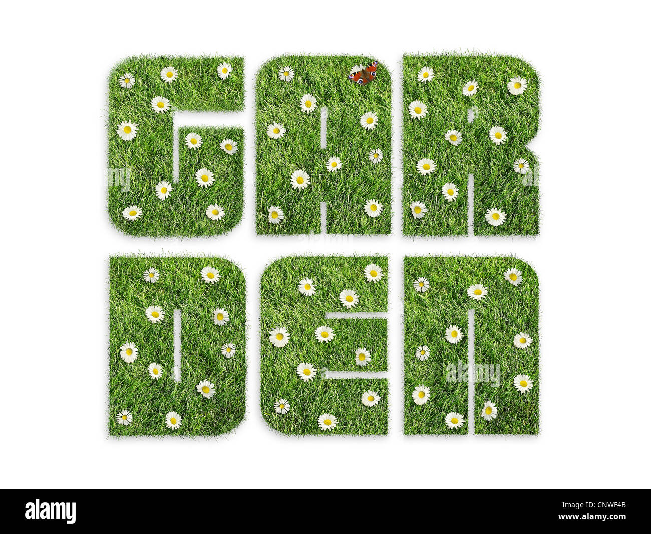 Garten Wort gebildet von Rasen mit Blumen und Schmetterling, isoliert auf weiss Stockfoto