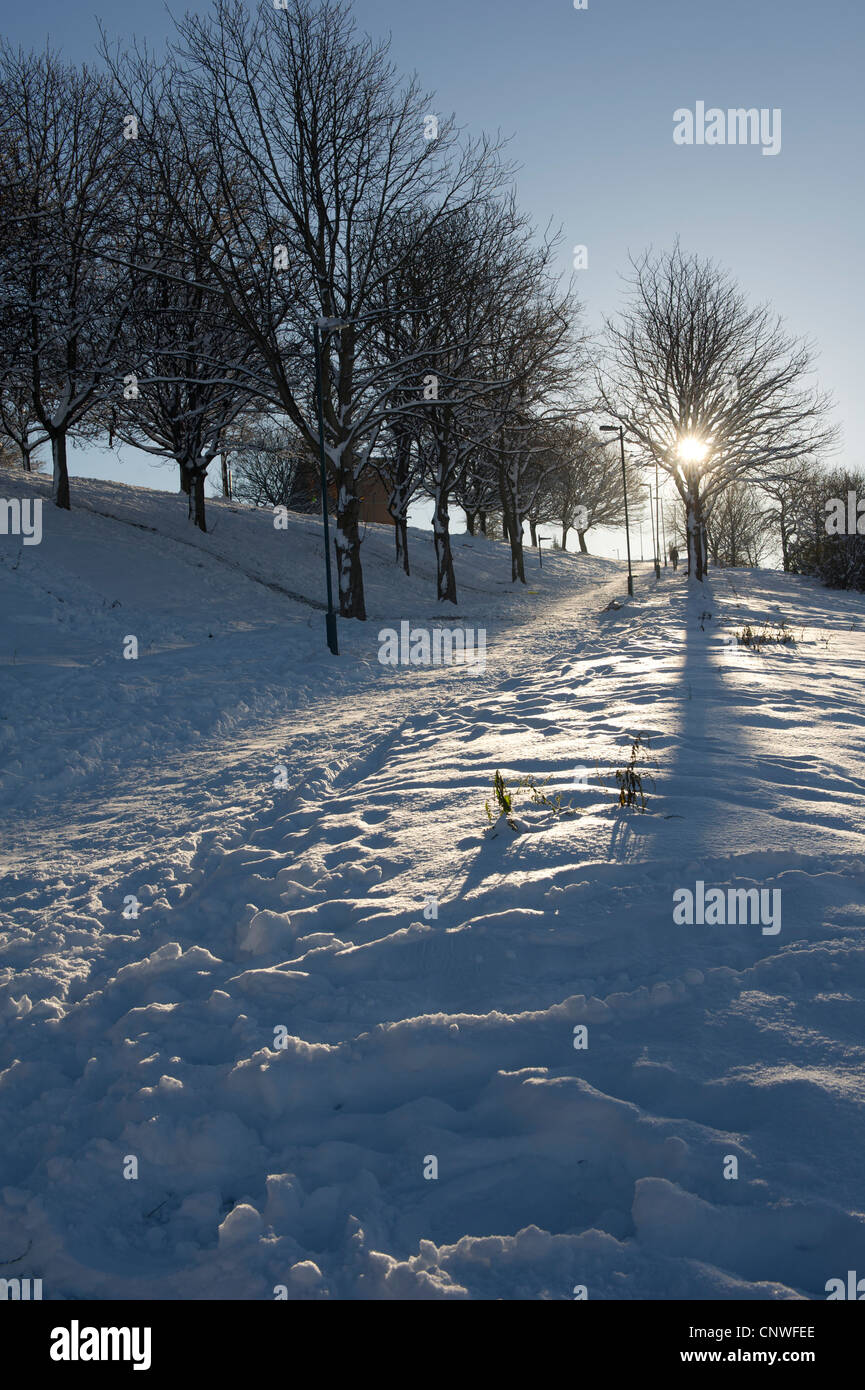 Park Hill nach einem Schneesturm Stockfoto