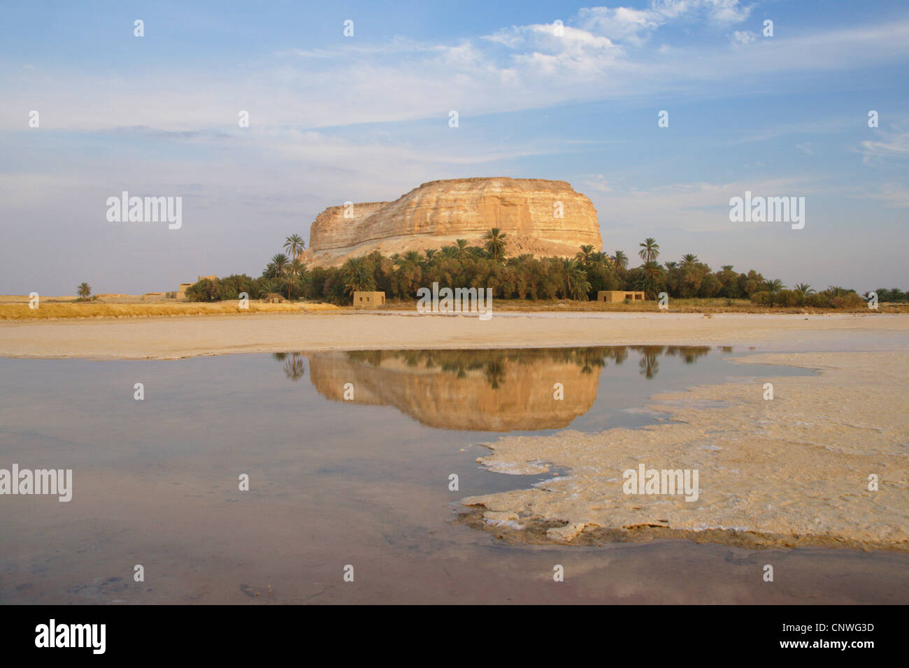 Salzsee vor Mesa, Ägypten, Oase Siwa Stockfoto