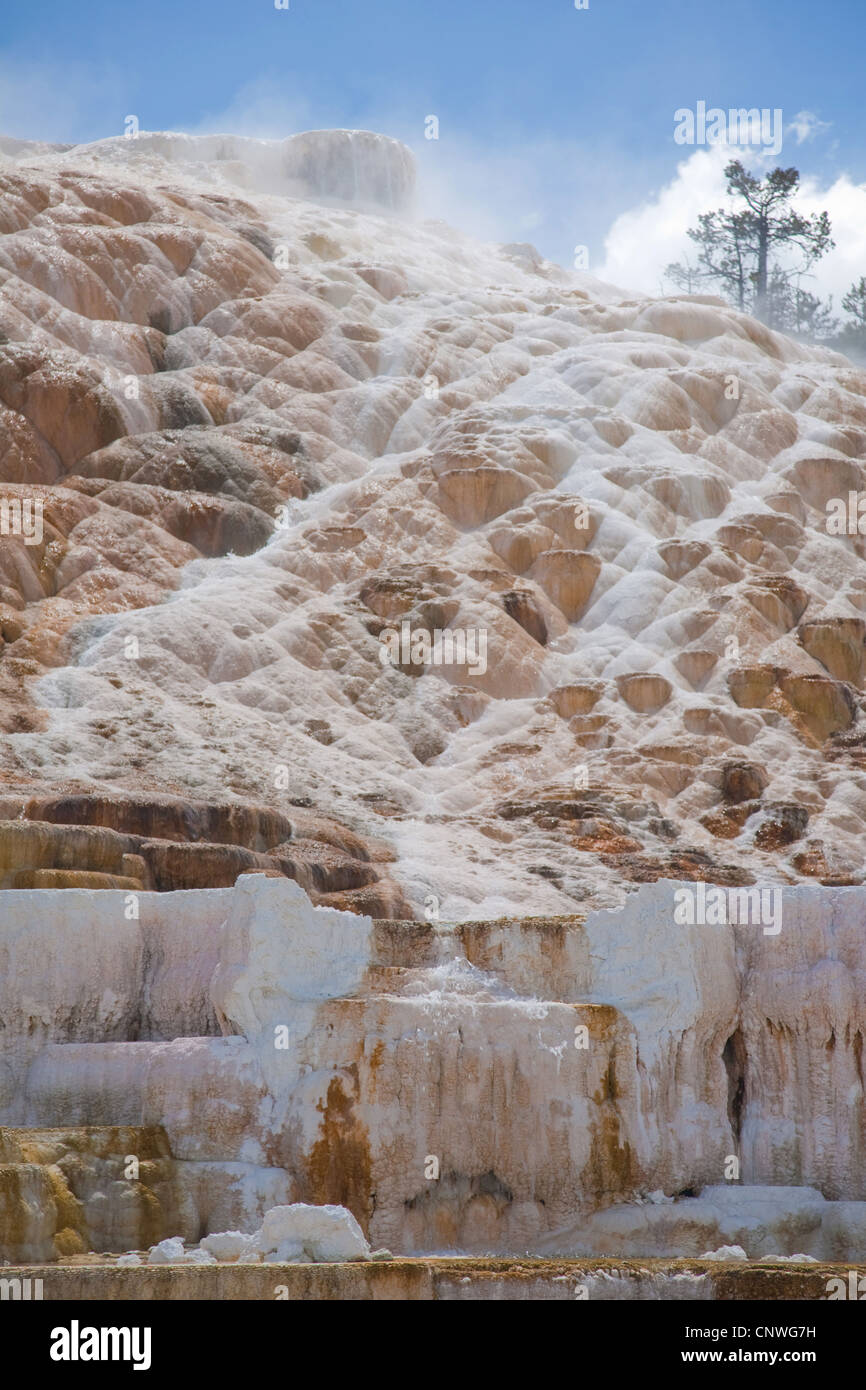 Travertin-Terrassen im Mammoth Hot Springs, USA, Wyoming, Yellowstone National Park Stockfoto