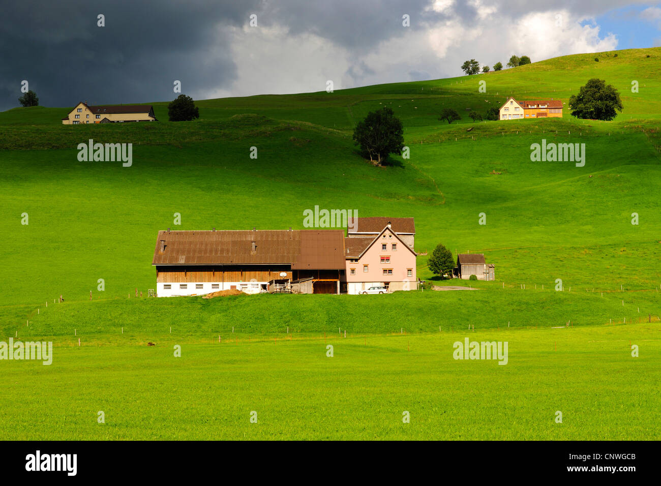 Bauernhäuser und grünen Weiden, Schweiz, Kanton Appenzell Stockfoto