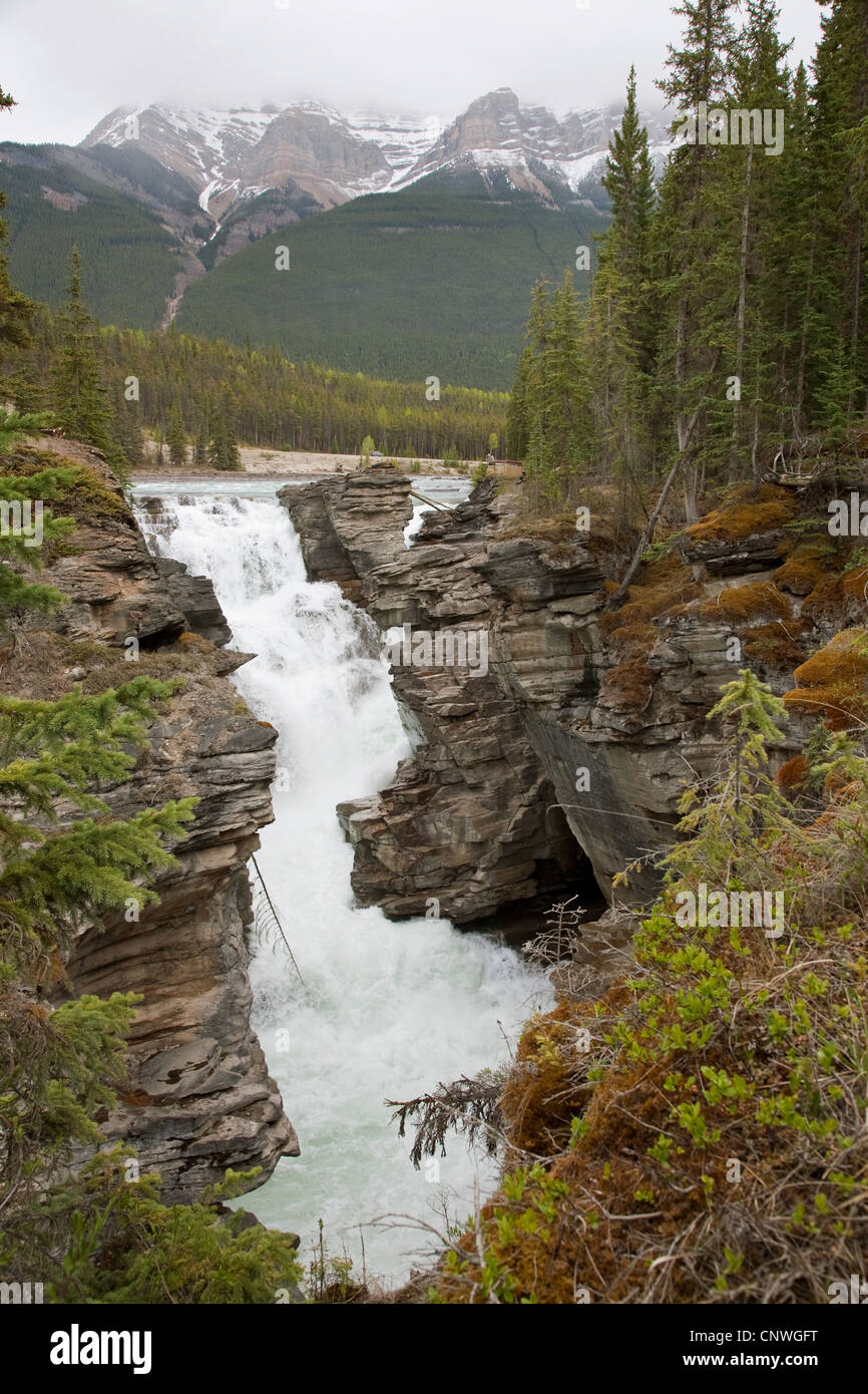Athabasca Falls, Kanada, Alberta, Jasper-Nationalpark Stockfoto