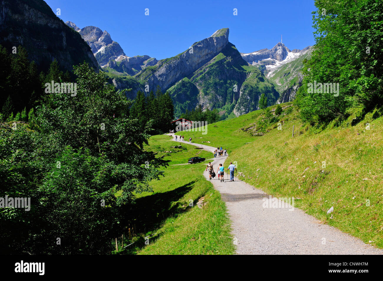 Berg-Wanderer auf malerischen Weg, Schweiz, Appenzell, Alpstein Stockfoto